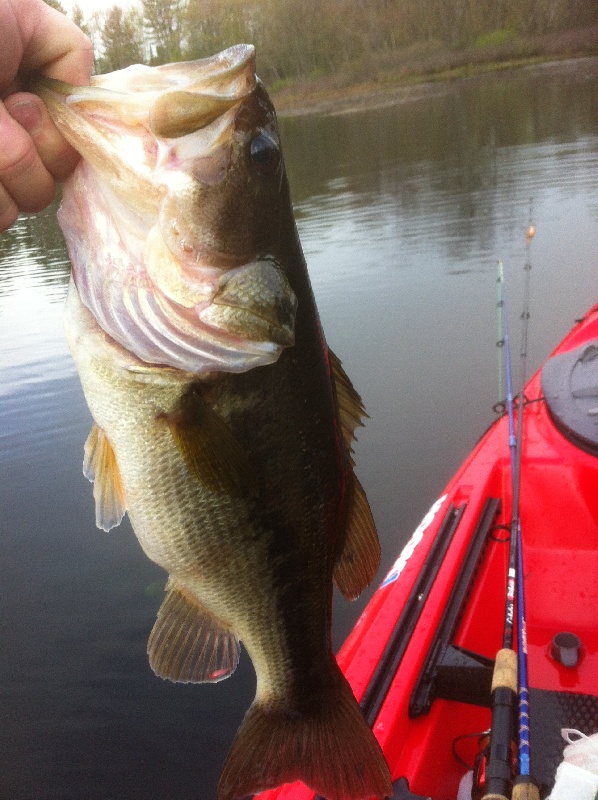 Hogan Pond 2lb near Auburn