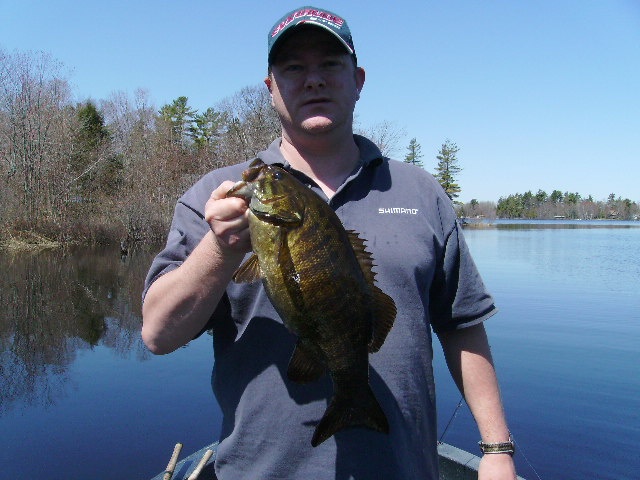 4 smallies 10 casts near Brewer